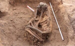 Dezenas de esqueletos e sítio arqueológico são encontrados durante escavação em São Luís