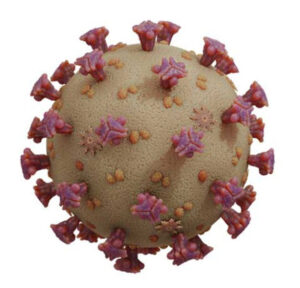 Governo investiga dois casos suspeitos do novo coronavírus em São Luís