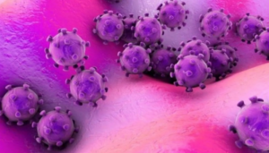 Maranhão monitora 5 casos suspeitos do novo coronavirus