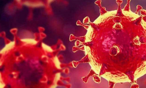 Segundo caso de Coronavirus é confirmado em Chapadinha; Paciente é uma mulher de 76 anos