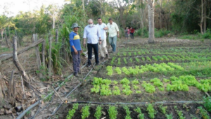 Equipamentos agrícolas viabilizados pelo deputado Hildo Rocha proporcionam bons resultados para pequenos produtores rurais de Imperatriz