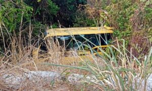 Transporte escolar perde o freio, cai em barranco e deixa feridos em São José de Ribamar