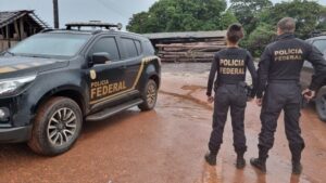 Operação Aegis: PF combate comércio irregular de madeira