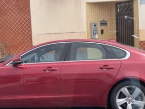 IMAGEM DO DIA! O monitorado…