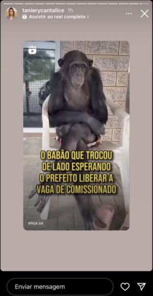 Foto: Reprodução