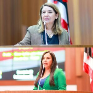 Iracema Vale e Ana do Gás repercutem sucesso do 1º Seminário Nacional de Legisladoras