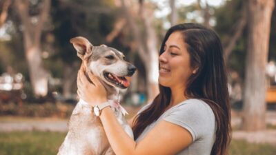 No Maranhão, Projeto de Lei propõe um dia de folga para servidores públicos que adotarem animais de abrigos