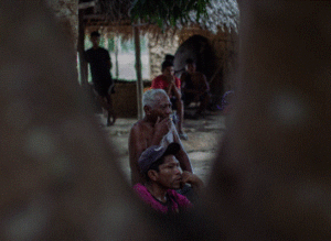 Tensão e ameaças forçam retirada de ‘guardiões da floresta’ de terra indígena