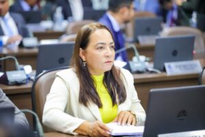 Concita Pinto alerta sobre risco de deslizamento de barreiras em São Luís