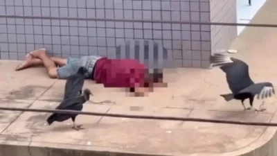 Urubus tentam se “alimentar” de homem vivo