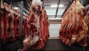 No MA preço inicial da carne cai 29,41% entre fevereiro de 22 e 23 e diferença não chega à mesa do trabalhador