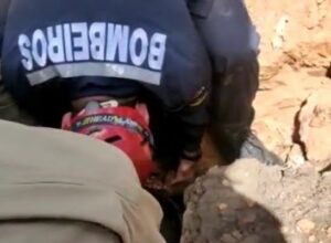 Vídeo: Bombeiros de Timon resgatam criança que caiu em buraco