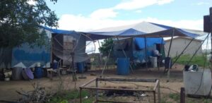 Sem espetáculo no picadeiro, circo faz campanha de arrecadação de alimento