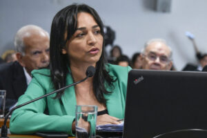 Eliziane Gama defende programa para complementar renda de trabalhadores informais