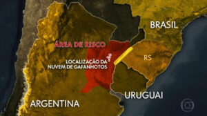 Praga de gafanhotos leva Ministério da Agricultura a declarar estado de emergência fitossanitária no Rio Grande do Sul e Santa Catarina