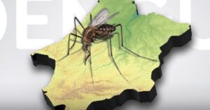 Dengue avança em número de casos e mortes no Maranhão