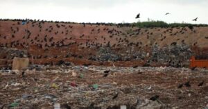 Justiça manda Prefeitura de SLZ cobrar uso do Aterro da Ribeira