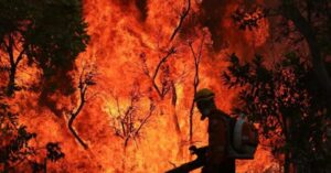 Incêndios em agosto devastam área 2 vezes maior que o DF