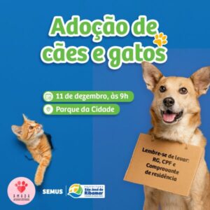 Ação para adoção de cães e gatos será realizada Ribamar