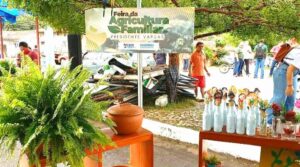Fabiana Mendes realiza a 1° Feira da Agricultura Familiar em Presidente Vargas