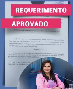 Vereadora Nildinha Teles Requerimento Aprovado.