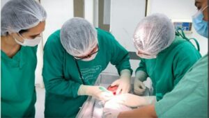 Hospital Alarico Nunes Pacheco oferta novo serviço de cirurgia do frênulo lingual em recém-nascidos