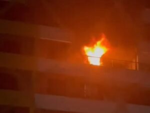 Animais morrem em incêndio em apartamento na área nobre de São Luís