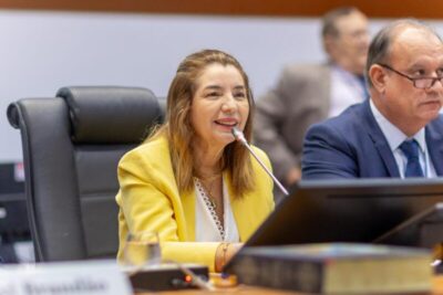 Assembleia Legislativa avança em transparência na gestão da presidente Iracema Vale