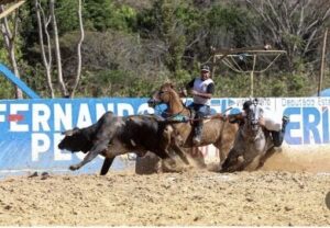 Tuntum realiza a maior e melhor vaquejada de todos os tempos