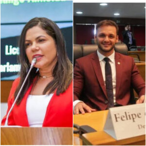SOLANGE ALMEIDA SE DESTACA EM NÚMEROS DE MATÉRIAS LEGISLATIVAS.