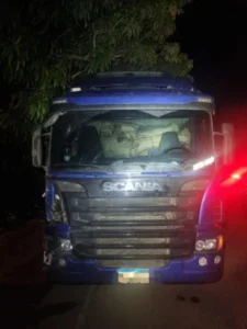 Idosa morre atropelada por caminhão na BR-316