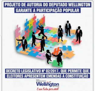 Deputado Wellington apresenta projeto para garantir a participação popular