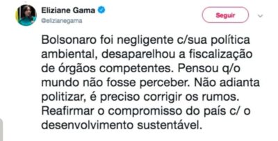 Eliziane diz que Bolsonaro foi negligente com a Amazônia
