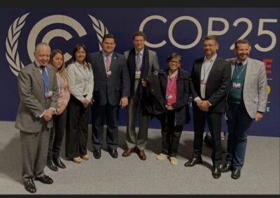 Eliziane critica declaração do ministro Ricardo Salles