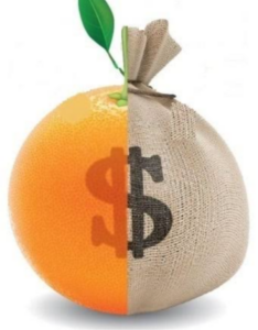 Bom Jesus das Selvas-Candidatos de “fachada” são denunciados pelo MP