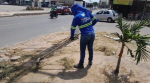 CUIDANDO, LIMPANDO E ZELANDO