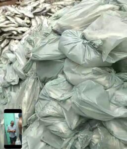 Peixes Podres e Política: O Escândalo de Luizinho Barros em São Bento
