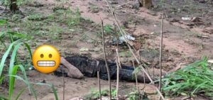 URGENTE: Corpo é encontrado próximo ao Ecoponto no Cohatrac