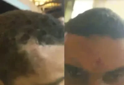 Em apenas um dia, motoboy é morto a tiros e outro é agredido por morador de condomínio, na Grande São Luís