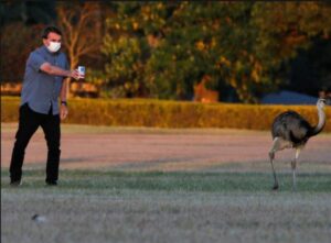 Governo Bolsonaro tem estoque parado de 4 milhões de comprimidos de cloroquina