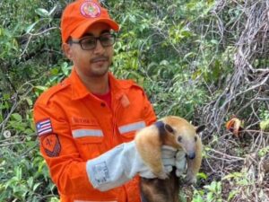 Junta Comercial e Bombeiros fortalecem parceria para vistorias técnicas