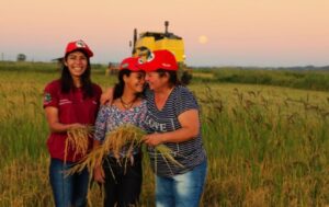 MST prepara festa da maior colheita de arroz livre de agrotóxicos da América Latina