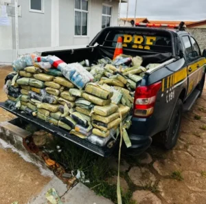 Mais de 300 kg de skunk e pasta base de cocaína são apreendidos no MA