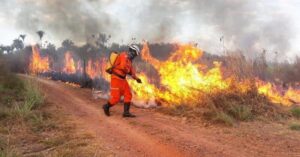 Corpo de Bombeiros já combateu, este ano, 149 incêndios em vegetação na Grande Ilha