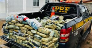 PRF apreende mais de 300 kg de skunk e pasta base de cocaína escondidos em caminhão na BR 316