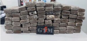 Polícia apreende 72 tabletes de maconha em área de mata na Grande São Luís