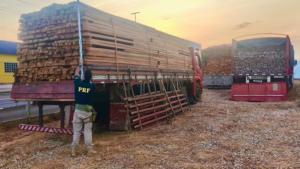 PRF e PMMA apreendem carga de quase 100m³ madeira ilegal na BR-230, sul do Maranhão
