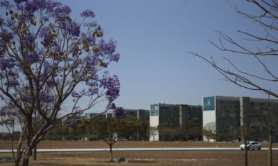 Cai a participação feminina em cargos no Governo Federal
