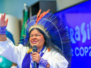Ministra de Lula admite que governo não solucionou crise Yanomami