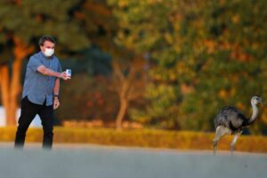 Presidente do PSOL defende interdição após Bolsonaro mostrar cloroquina para ema